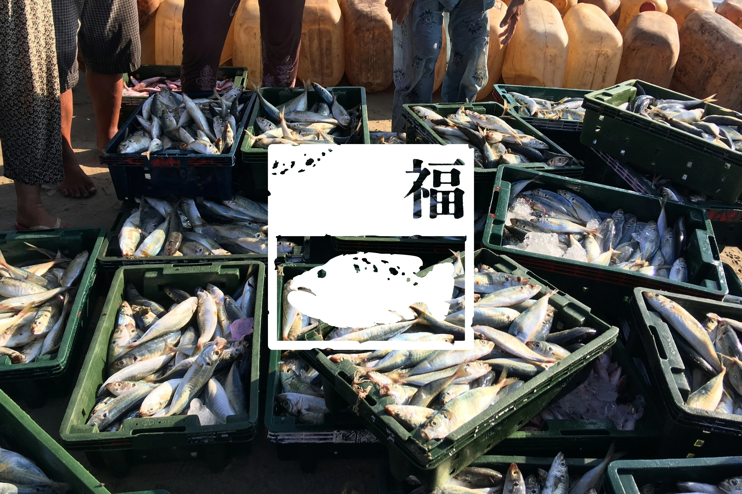Fuku Ocean Trade