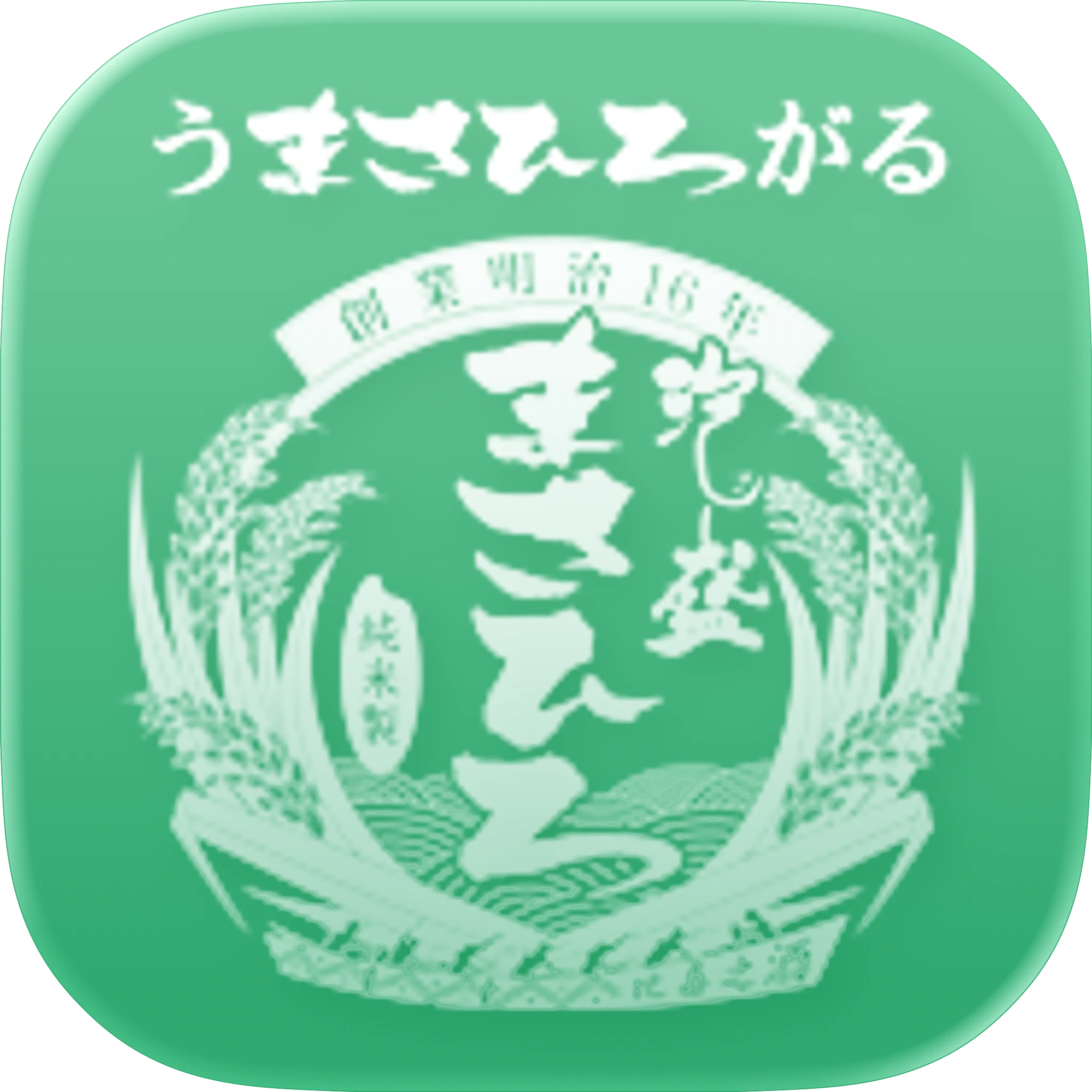泡盛まさひろ台灣